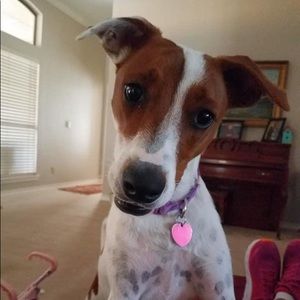 Meet your Posher, Dianna